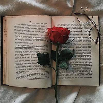 Timeline: Reconociendo mis Competencias