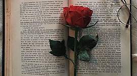 Timeline: Reconociendo mis Competencias