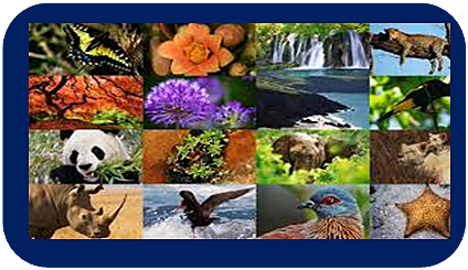 Día Internacional de la Diversidad Biológica