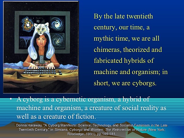 Simians, Cyborgs, and Women: The Reinvention of Nature