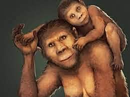 Australopithecus - 2 millones de años