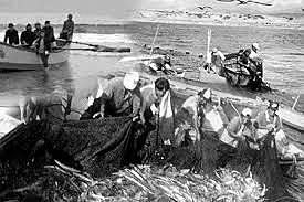 Estatización de la industria pesquera