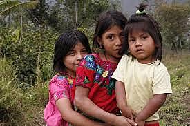 Los derechos humanos son universales.