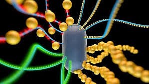 Biología Sintética.