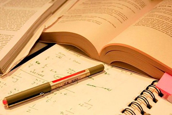 Proceso de formacion