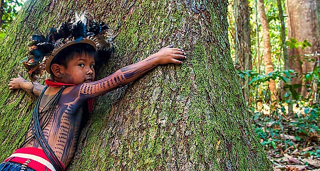 Programa de promoción y protección de derechos de los recursos naturales de los grupos étnicos. 1998