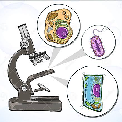 Timeline: Historia del Microscopio y de la célula
