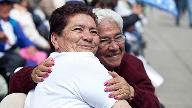 Programas para el adulto mayor 2010