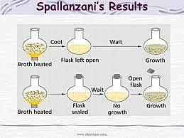 Lazzaro Spallanzani boiled nutrient solutions in flasks