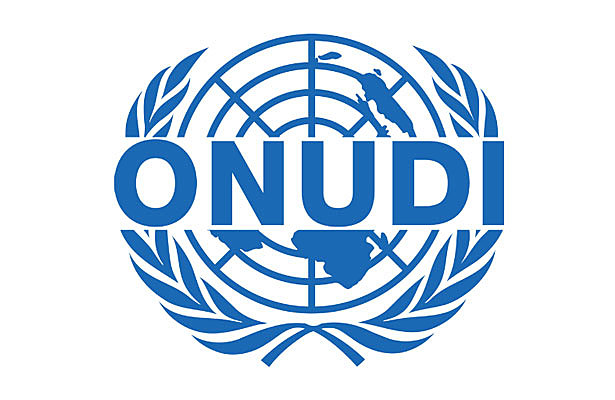 Organización de las Naciones Unidas para el Desarrollo Industrial (ONUDI)