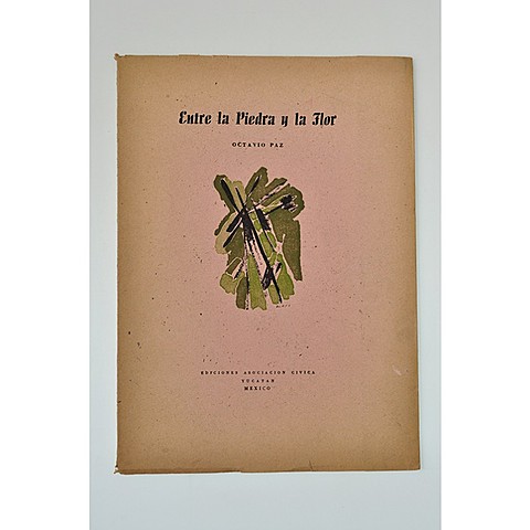 Entre la piedra y la flor