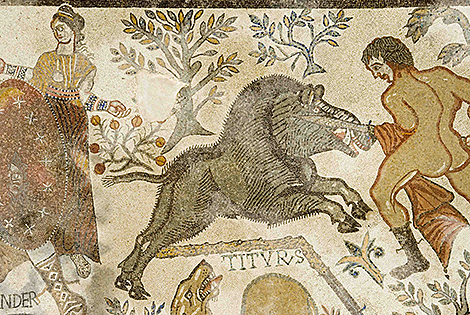 Mosaico de la muerte de Adonis (s.IV)