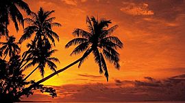 Timeline: ציר הזמן של הילה קורן ו2