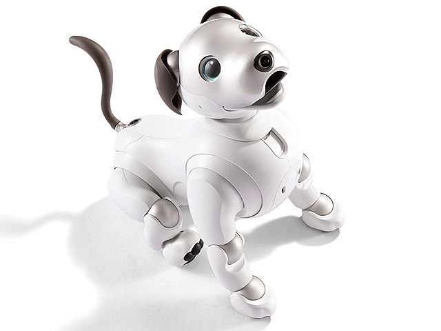 Aibo