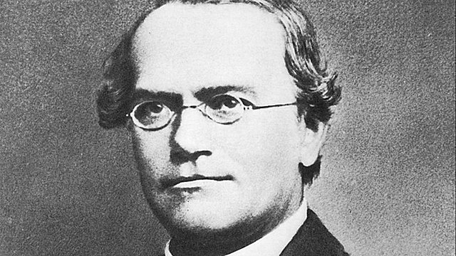 Gregor Mendel