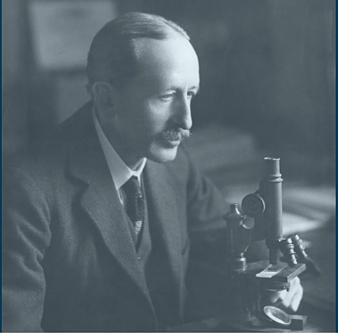 The first radical mastectomy