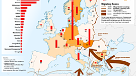 Timeline: Timeline of the European migrant crisis