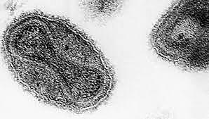 smallpox becoming a big issue