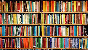 Creó la Comisión Nacional de Bibliotecas Populares (CONABIP)