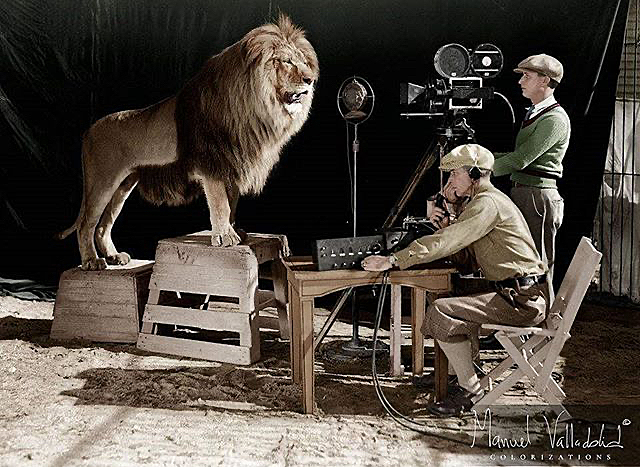 El León. El logo de la Metro-Goldwyn-Mayer.