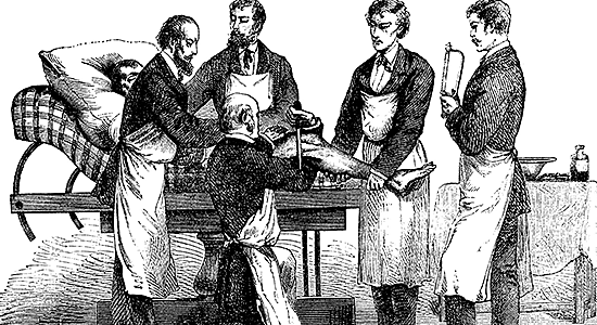 Primer estudio de bioreactividad in vivo