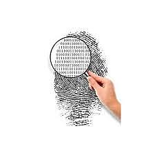 La vida ese paréntesis