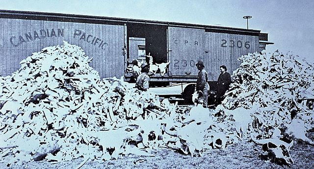 BOC EVENT - Starvation of the plains people by the Canadian state