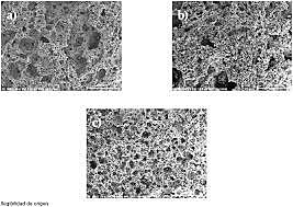 Aplicacion biomedica del bioglass