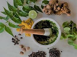 Medicina Natural (Neuropatía) o medicina botánica