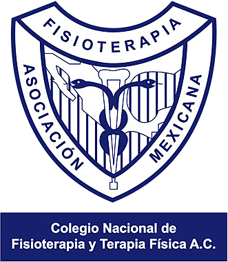 Surge en México la AMEFI