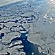 Arctic seaice