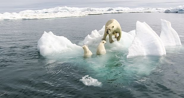 Arctic After The Melt Down