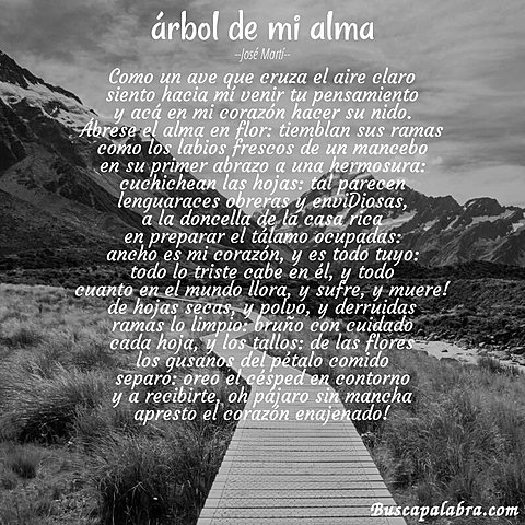Árbol de mi alma