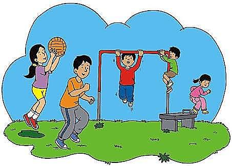 Modelo Orgánico Funcional.