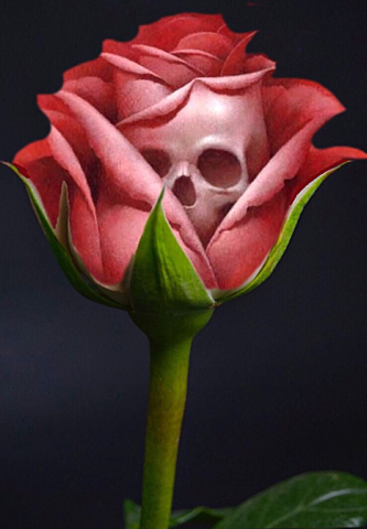 LA MUERTE DE LA ROSA