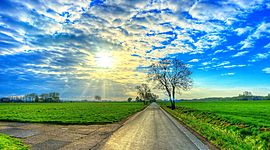 Timeline: La storia della lampadina