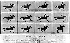 LA DESCOMPOSICIÓN DEL MOVIMIENTO-E.Muybridge (1830-1904)
