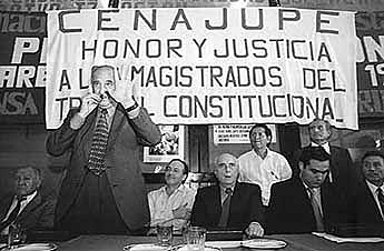 El fallo del Tribunal Constitucional