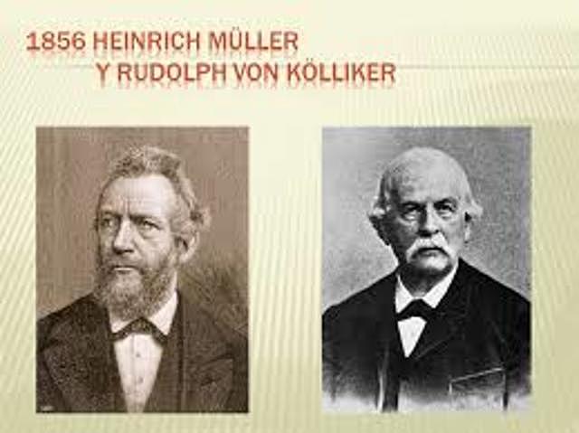 Registro del potencial de acción