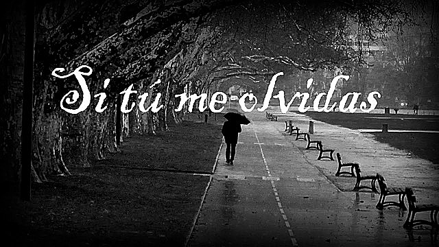 Si tú me olvidas
