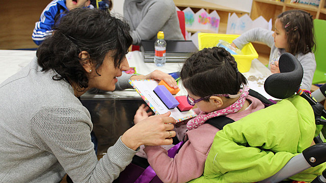 Atención a la población con diversidad de capacidades, Decreto 366