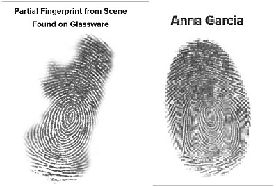 Anna Garcia Fingerprint