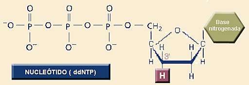 SECUENCIACION GENETICA
