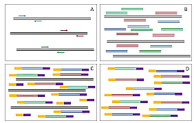 COMERCIALIZACION DE HERRAMIENTOS DE SECUENCIACION