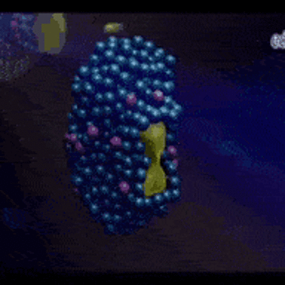 Timeline: Historia de las Enzimas