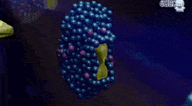 Timeline: Historia de las Enzimas