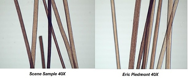 Eric Piedmont Hair Samples