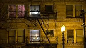 Rufus and Mateo meet - 3:42am