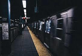 Rufus and Mateo Care - 10:32 am