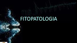 Timeline: Historia de los conceptos de causa y enfermedad: paralelismo entre la Medicina y la Fitopatología